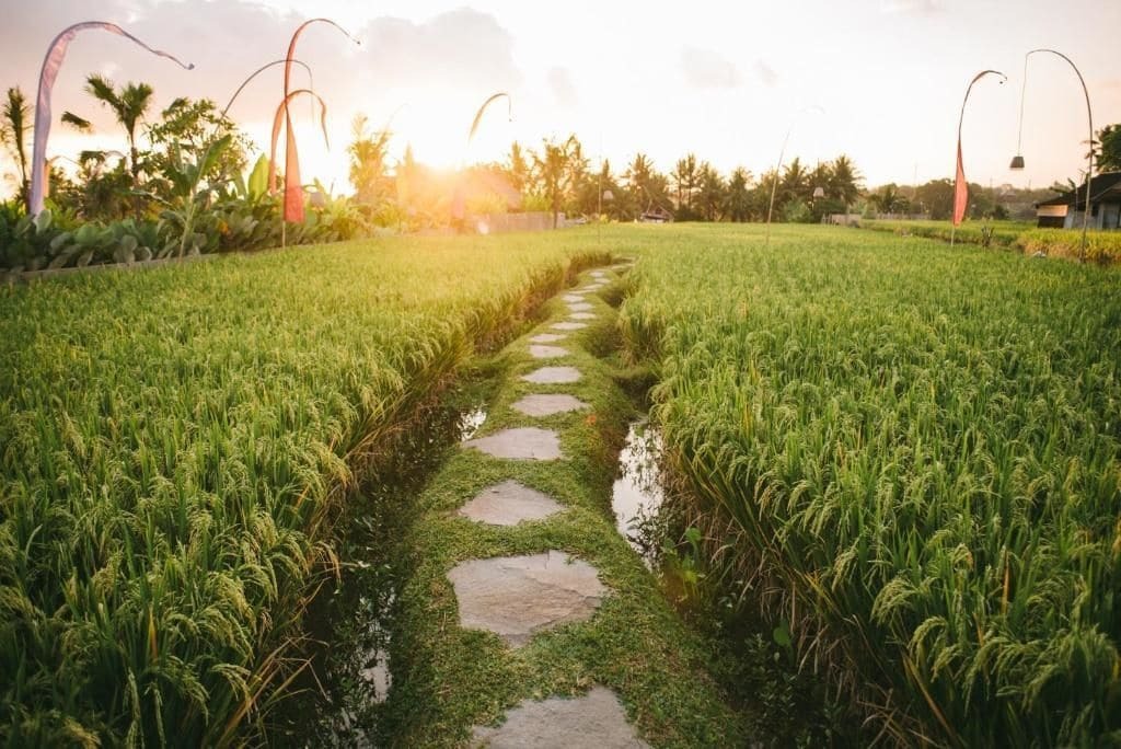 The Runik Ubud Bagian luar foto